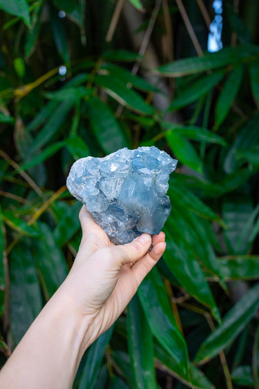 Celestite Cluster